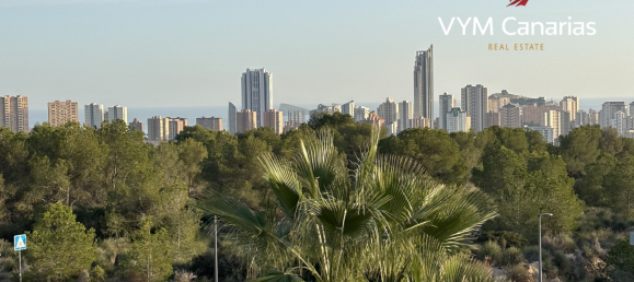 Вилла с 4 спальнями в Гольф Баия, Испания № 288514 11