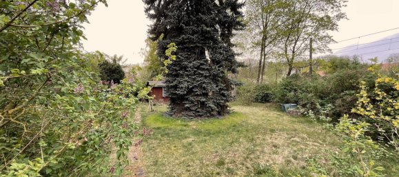 Grundstück in Schmöckwitz, Germany, Nr. 72225 4