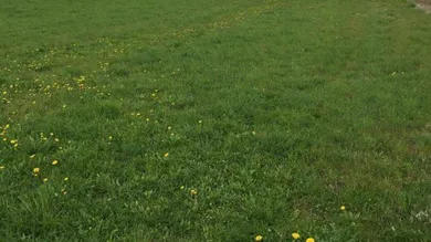  Land in Weisskirchen in Steiermark, Austria No. 156892