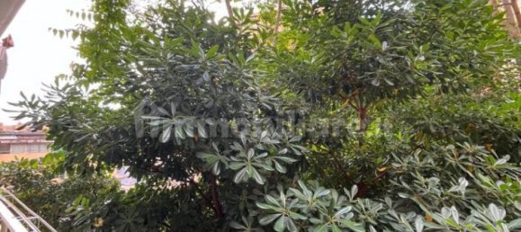 Apartamento de 1 dormitorio en Genoa, Italy No. 295336 8