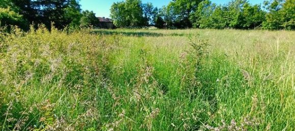 2008m² Land in Lissac, France No. 117781 6