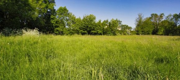 2008m² Land in Lissac, France No. 117781 16