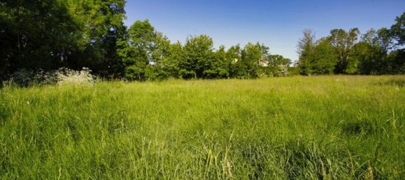 2008m² Land in Lissac, France No. 117781 8