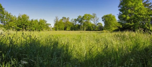 2008m² Land in Lissac, France No. 117781 9