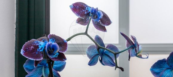 Дом с 4 спальнями в Сетубал, Португалия № 179964 41