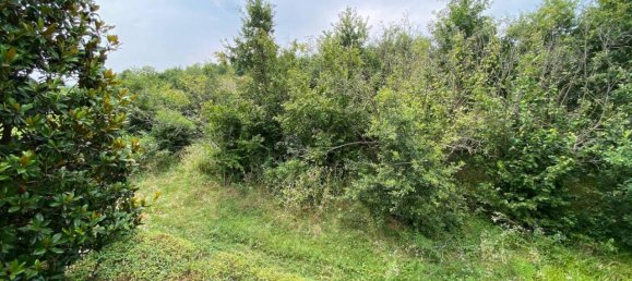 7 rooms Villa in Celle Enomondo, Italy No. 121733 42