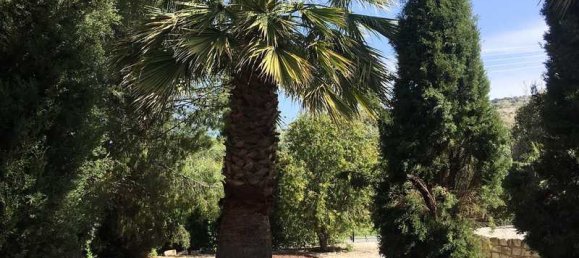 4 chambres Maison à Steni, Cyprus No. 6608 15