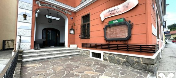 Gewerbliche Immobilie in Spittal an der Drau, Austria 567m², Nr. 47012 3