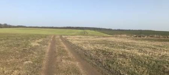 Grundstück in Demmin, Germany 700m², Nr. 144095 7