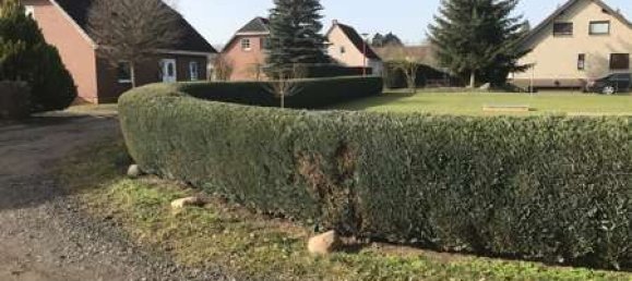 Grundstück in Demmin, Germany 700m², Nr. 144095 17