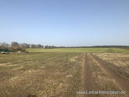 Grundstück in Demmin, Germany 700m², Nr. 144095