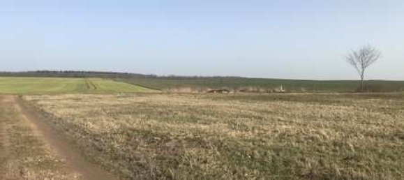 Grundstück in Demmin, Germany 700m², Nr. 144095 10