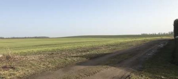 Grundstück in Demmin, Germany 700m², Nr. 144095 8