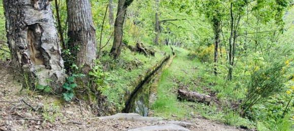 Terreno em Casteil, France N.º 185846 4