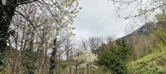 Terreno em Casteil, France N.º 185846 2