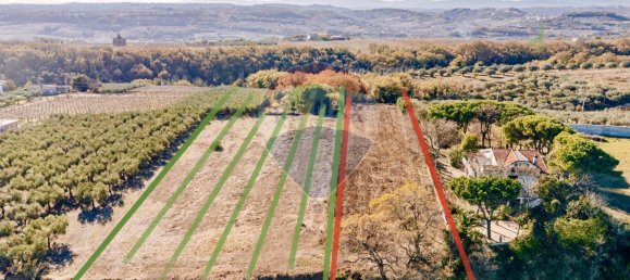  قطعة أرض في Torino di Sangro, Italy 7150متر مربع رقم 165342 6