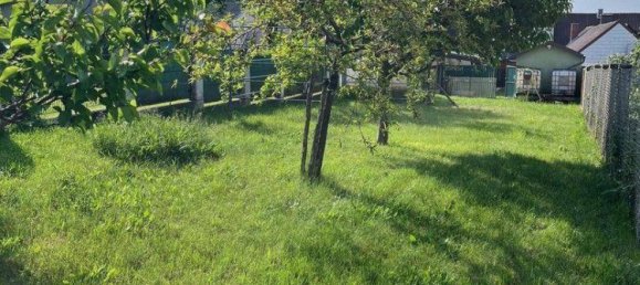 4 bedrooms House in Lackendorf, Austria No. 194914 3