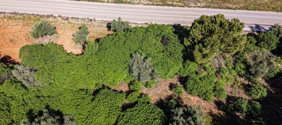 4 Schlafzimmer Haus in Madrid, Spain, Nr. 118258 20