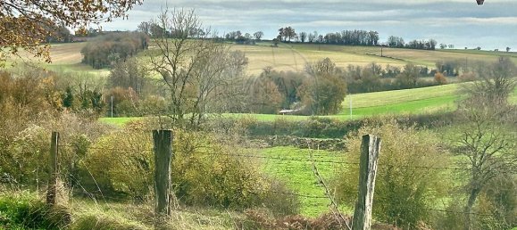 2 غرف نوم منزل في Neuvy-Deux-Clochers, France رقم 46498 14