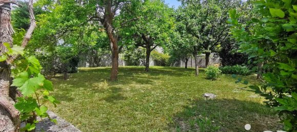 4 bedrooms House in Montreuil, France No. 327092 6