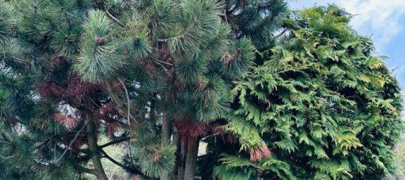  Land in Erfurt, Germany No. 238271 2