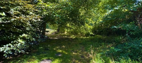 Bungalow de 3 dormitorios en Teltow-Flaming, Germany No. 341124 4