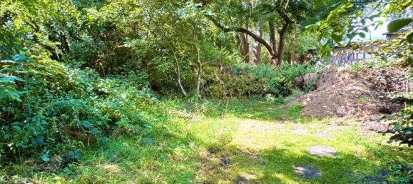 Bungalow de 3 dormitorios en Teltow-Flaming, Germany No. 341124 5