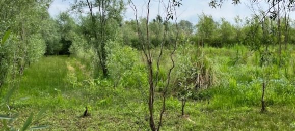 25000m² Land in Udine, Italy No. 286818 3