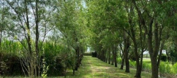 25000m² Land in Udine, Italy No. 286818 7