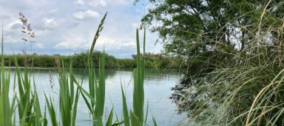 25000m² Land in Udine, Italy No. 286818 12