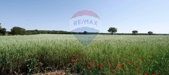 Дом с 5 комнатами в Моттола, Италия № 309792 21