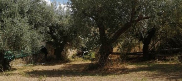 Terrain à Carlentini, Italy No. 356954 4