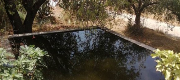 Terrain à Carlentini, Italy No. 356954 7