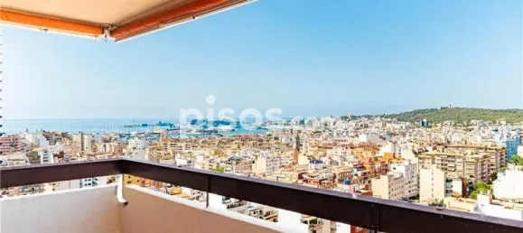 3 bedrooms Apartment in Palma de Majorca, Spain No. 170968 19