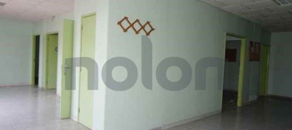 298m² Commercial property in Proenca a Nova, Portugal No. 78369 11