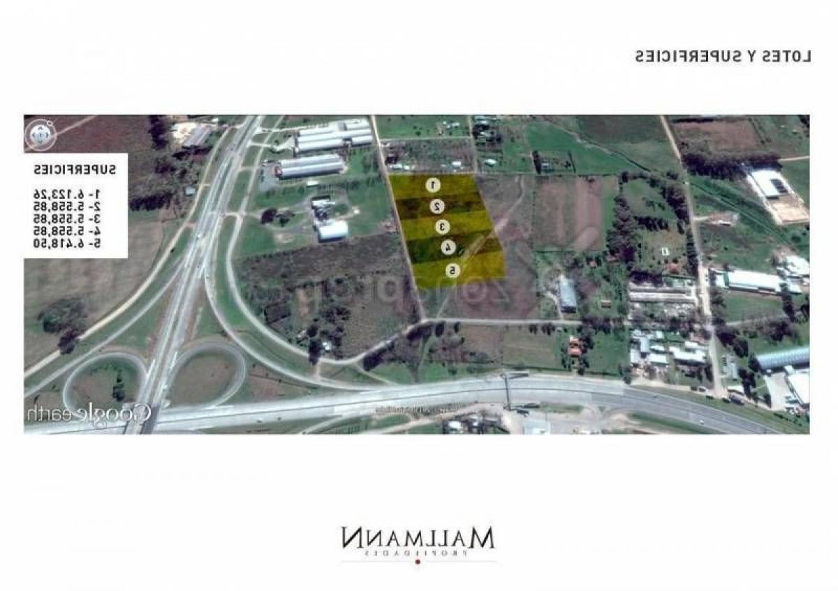  Land in Pilar, Argentina No. 48734