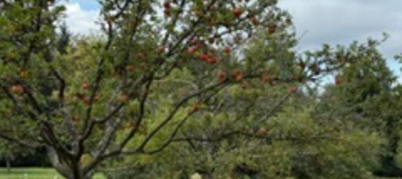 Grundstück in Enzkreis, Germany, Nr. 336482 14