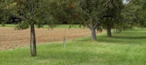 Grundstück in Enzkreis, Germany, Nr. 336482 12