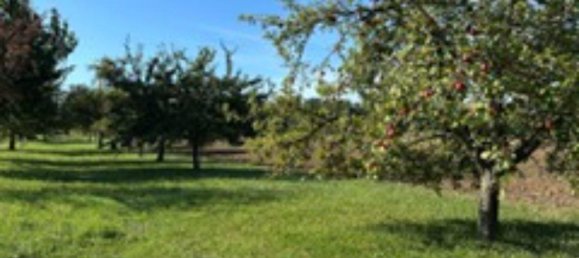 Grundstück in Enzkreis, Germany, Nr. 336482 10