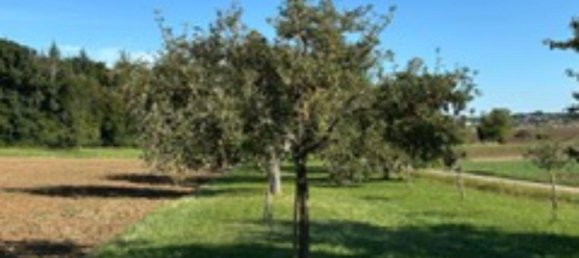 Grundstück in Enzkreis, Germany, Nr. 336482 6