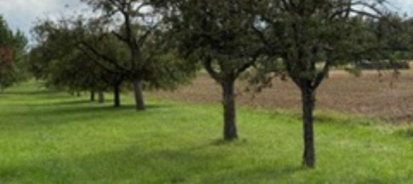 Grundstück in Enzkreis, Germany, Nr. 336482 13