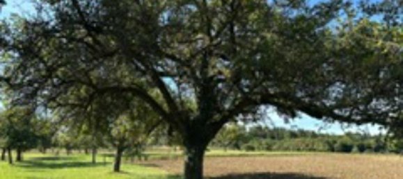 Grundstück in Enzkreis, Germany, Nr. 336482 8