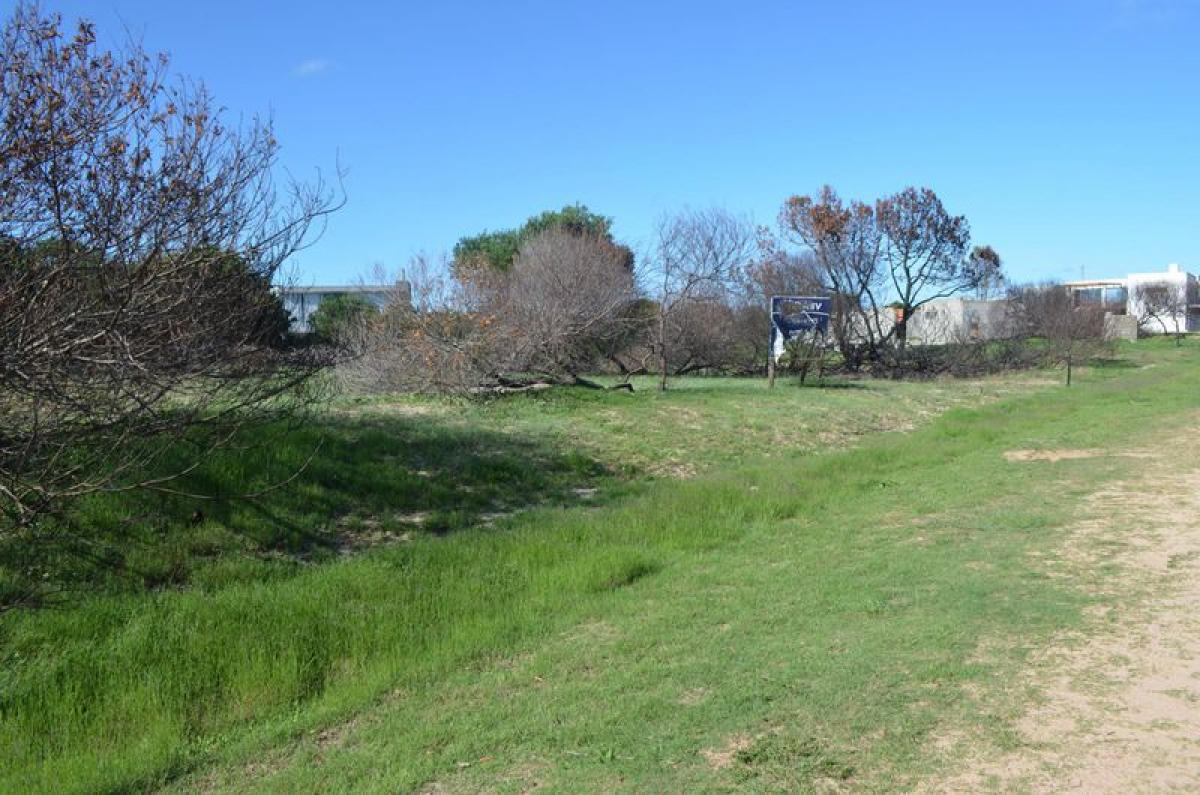 Земельный участок в Мальдонадо, Уругвай № 15581