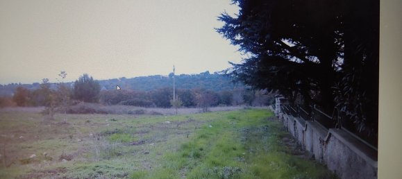 Grundstück in Monopoli, Italy 1200m², Nr. 254643 2