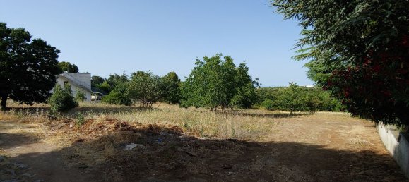 Grundstück in Monopoli, Italy 1200m², Nr. 254643 7