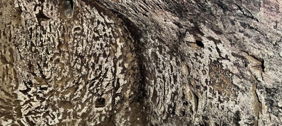  عقار تجاري في Castelnuovo Berardenga, Italy 1000متر مربع رقم 359195 36