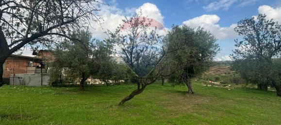 1-Zimmer Grundstück in Syracuse, Italy, Nr. 246295 9