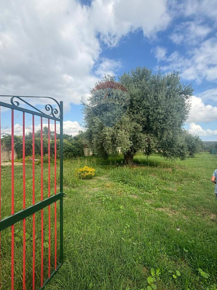 1-Zimmer Grundstück in Syracuse, Italy, Nr. 246295