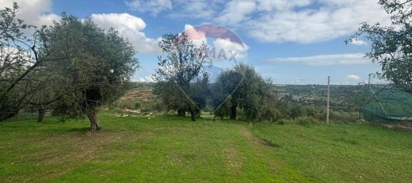 1-Zimmer Grundstück in Syracuse, Italy, Nr. 246295 5