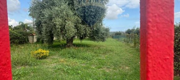 1-Zimmer Grundstück in Syracuse, Italy, Nr. 246295 12